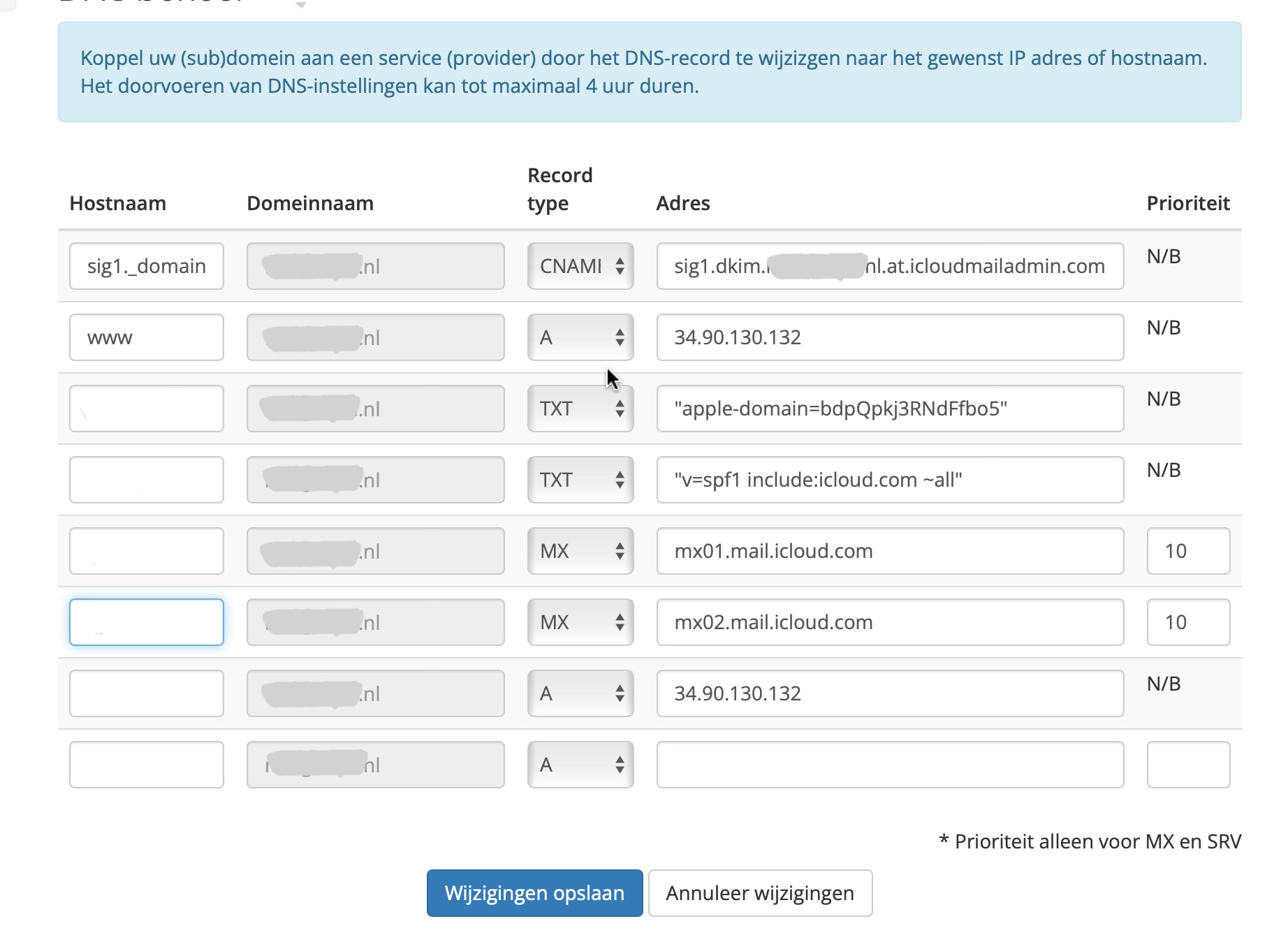 dns voor iCloud